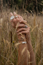 Anillo Órbita