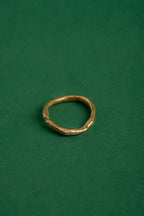 Anillo Luz