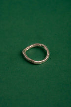 Anillo Luz