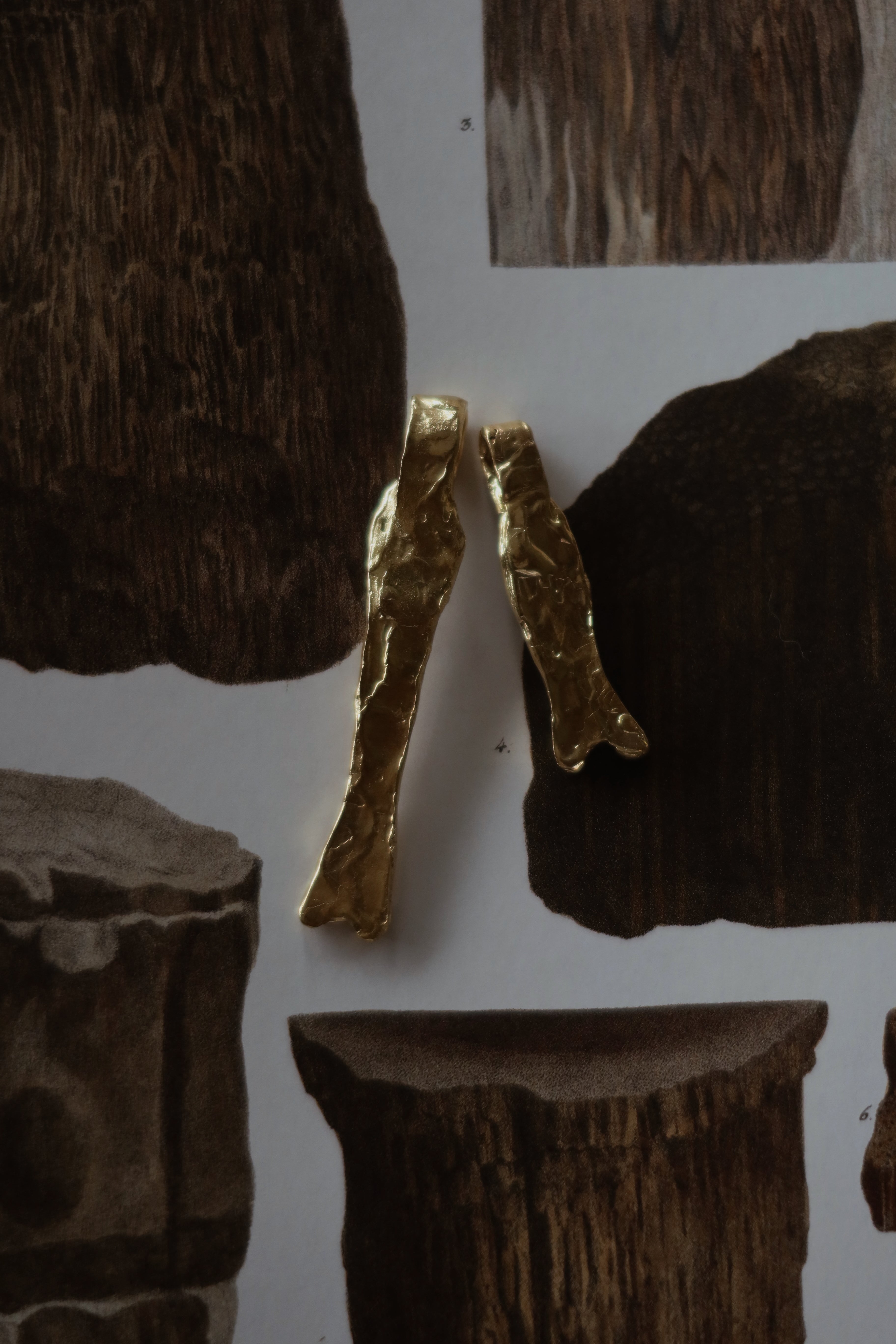 Colgante Pez Seed Chico