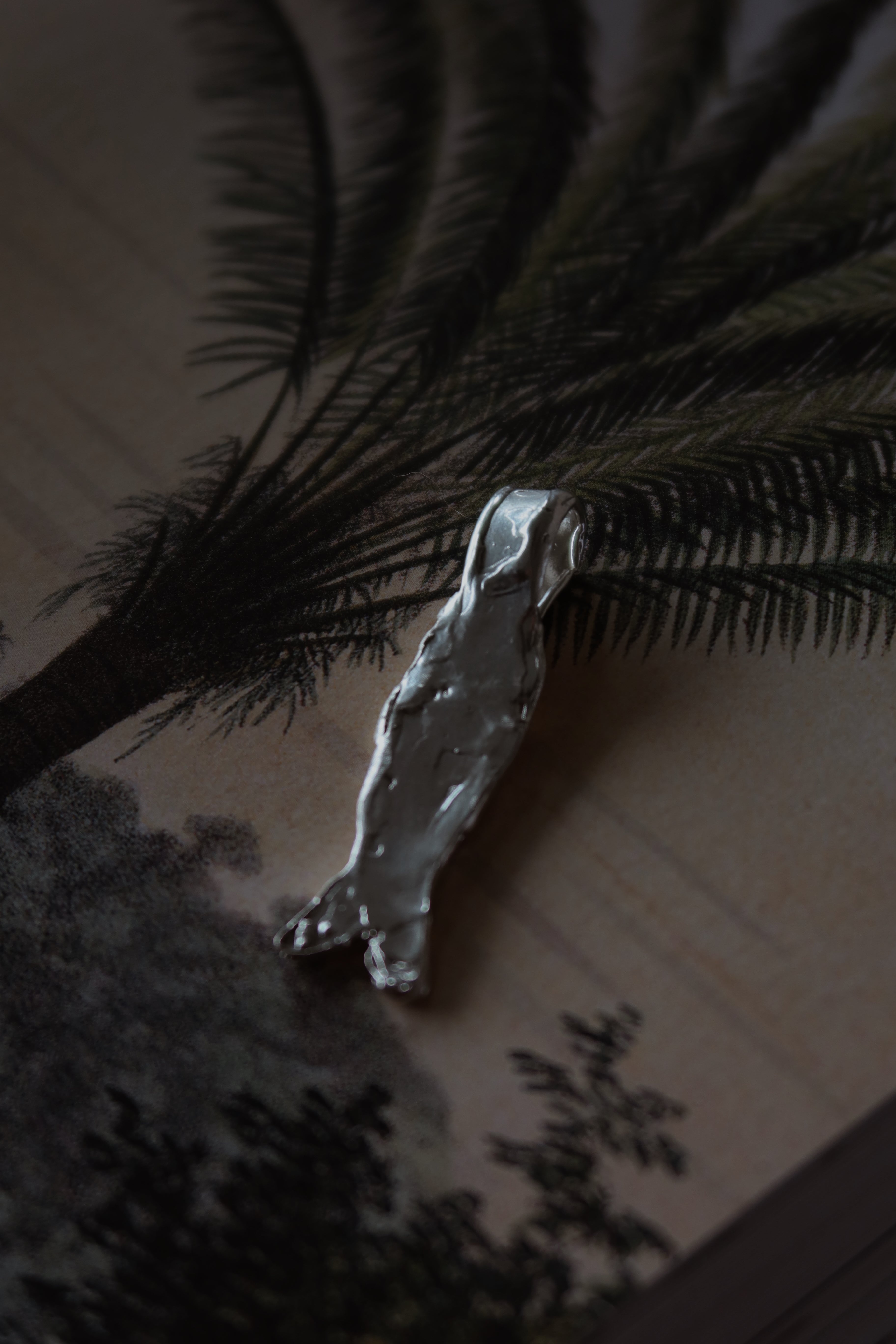 Colgante Pez Seed Chico